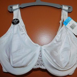 VANITY FAIR BEAUTIFUL BENEFITS MINIMIZER BRA 40DDD